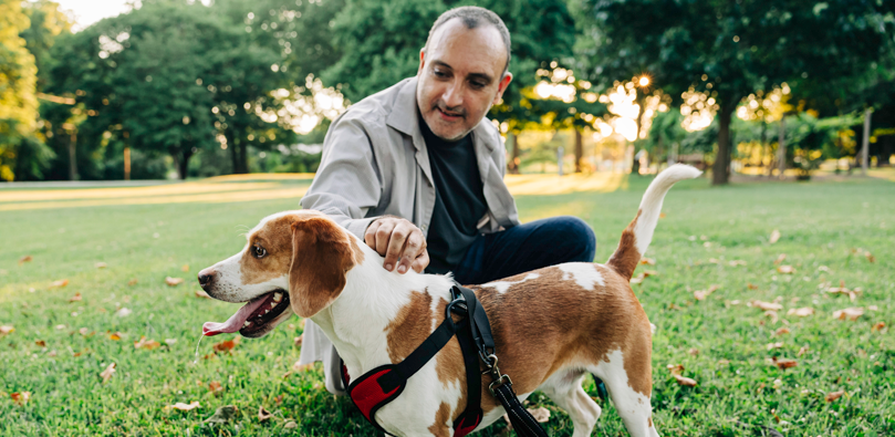 Michael Bartlett spending time with a rescue dog