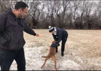 Michael Bartlett helping with a dog rescue